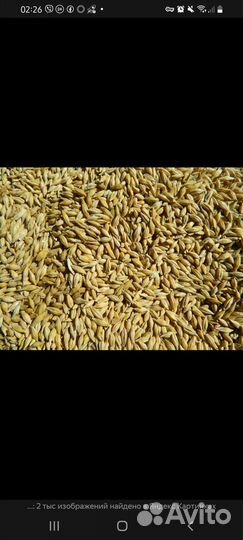 Мелитополь