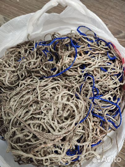 Зизи косы