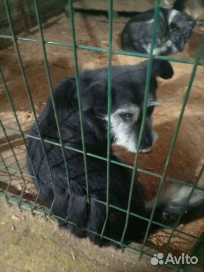 Так выглядит предательство, человек как ты спишь