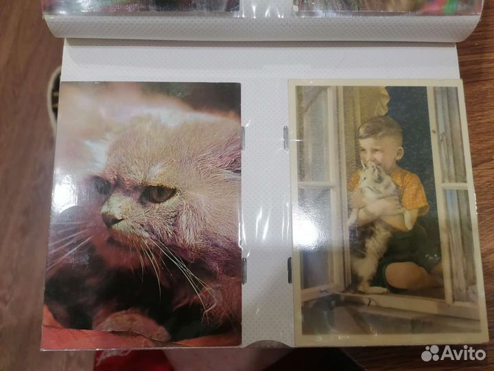 Открытки СССР с котами