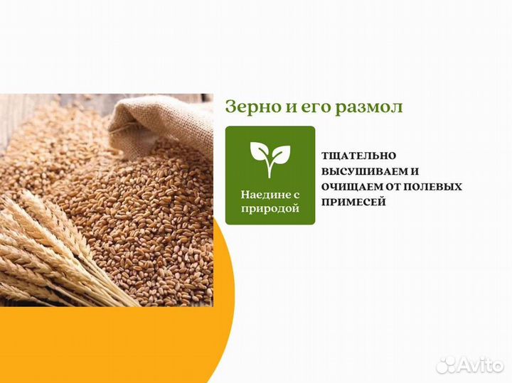 Пшеница Зерно (кг)