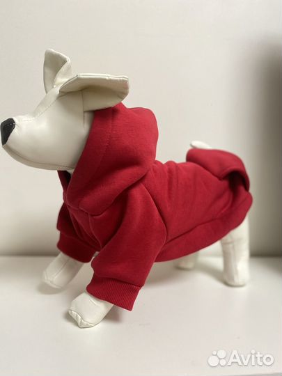 Одежда для собак