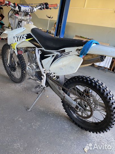 Avantis fx lux 250