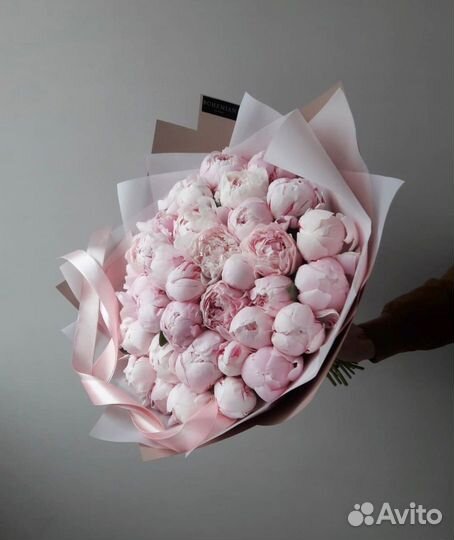 Крупные пионы с беспл. доставкой
