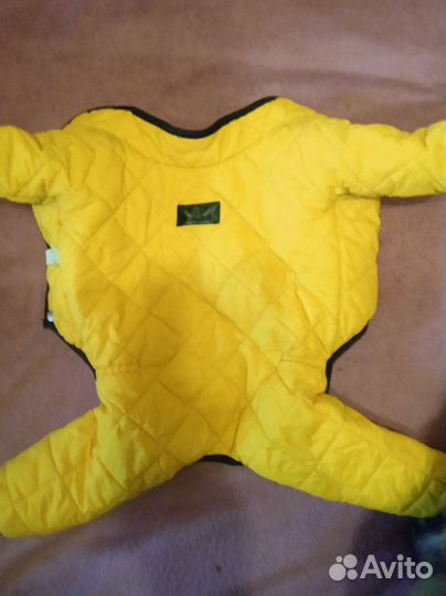 Комбинезон для маленькой собаки