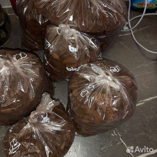 Кора Орхиата