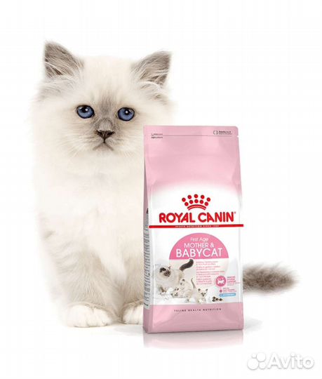 Корм сухой Royal Canin