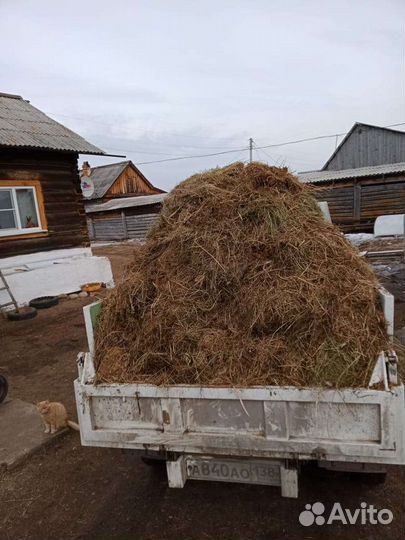 Навоз перегной, чернозём