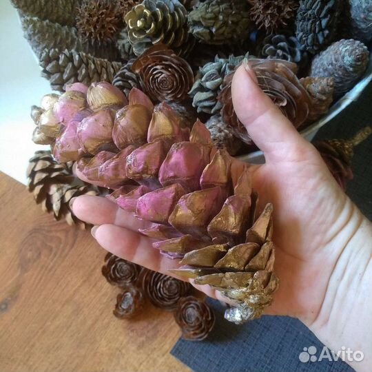 Два набора разных шишек