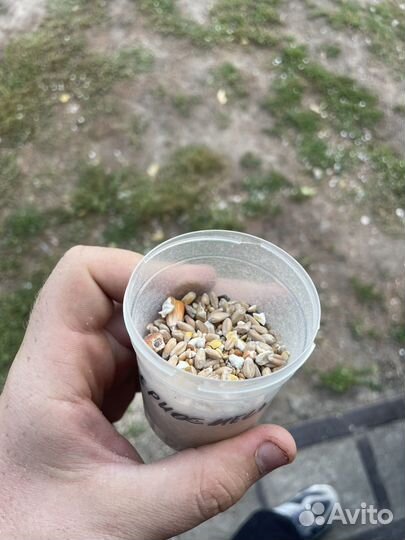 Зерносмеси