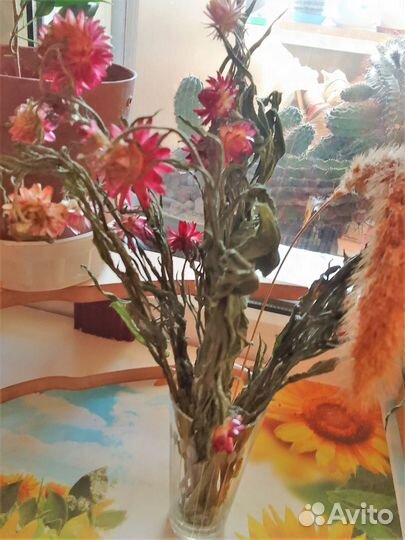 Букет сухоцветов в вазочке