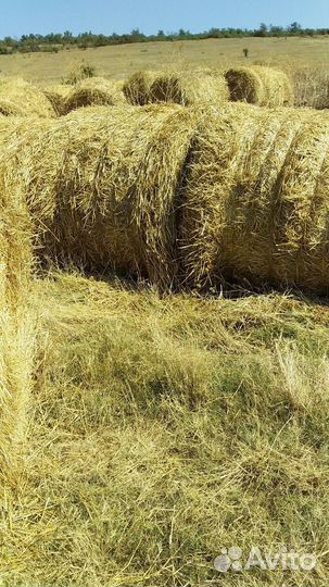 Продажа сена в рулонах