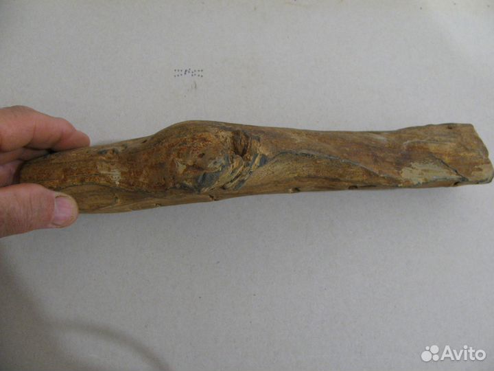 Окаменелое дерево (в коллекцию)