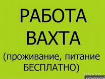 Упаковщики на Мясокомбинат 15/30 Бесплатный проезд