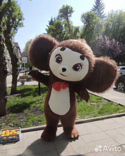 Аниматор Поздравление Ушастик-Чебурашка 2м