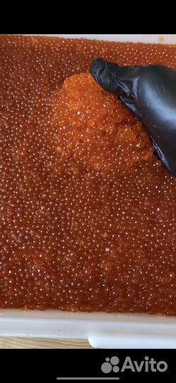 Красная икра 2023