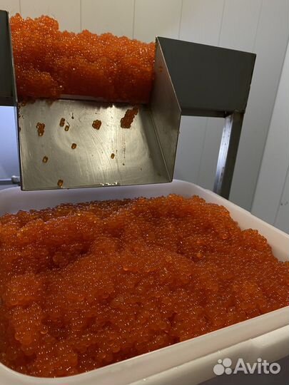 Красная икра с Магадана