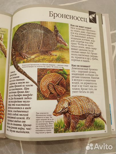 Животные. Энциклопедия