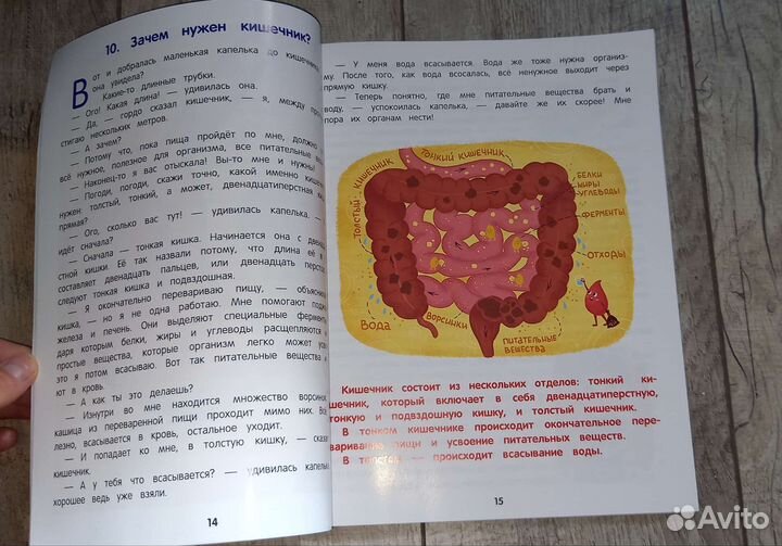 Как устроен человек энциклопедия