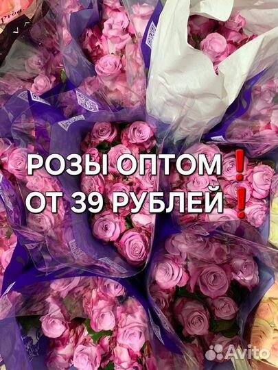 Розы опт Мценск