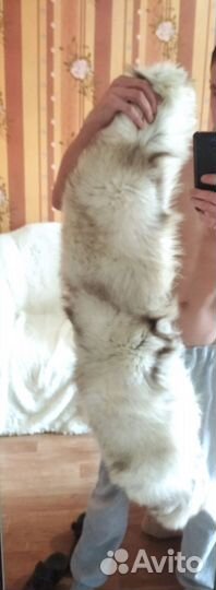 Меховой воротник песец белый