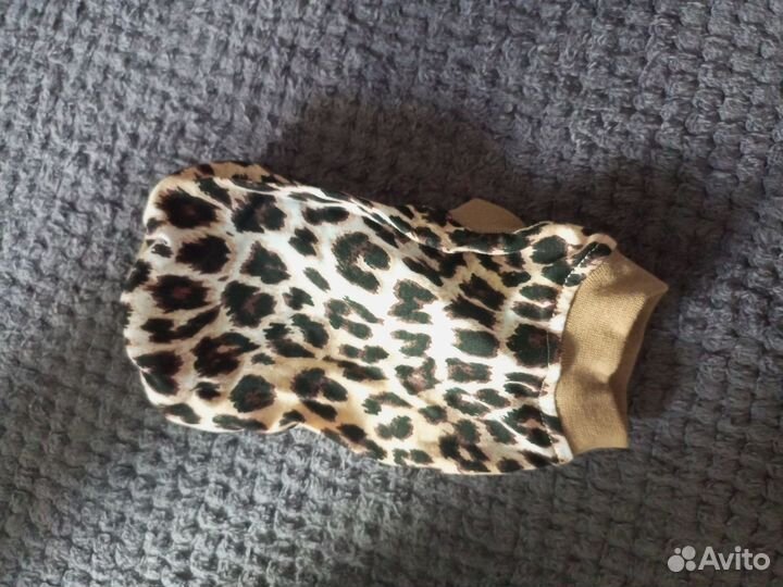 Лоток, переноска, наполнитель, когтерезка, совок