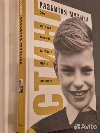 Стинг Разбитая музыка