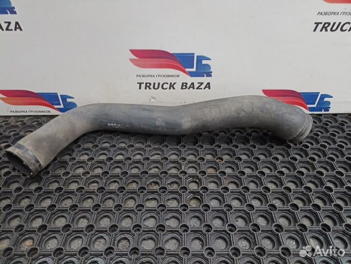 1683774 Патрубок радиатора Daf XF105, Daf XF95