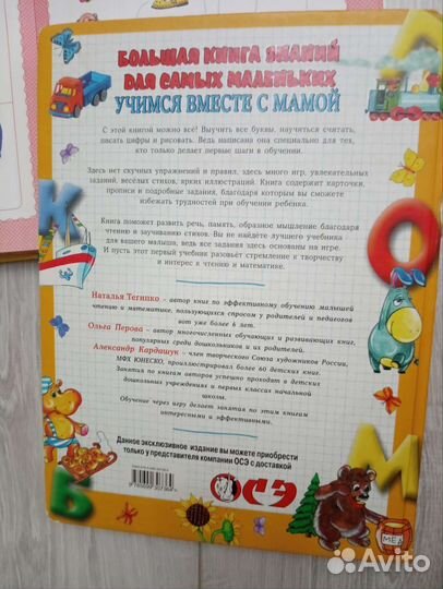 Энциклопедия развития Жукова, Книга знаний