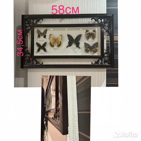 Картина-панно из бабочек