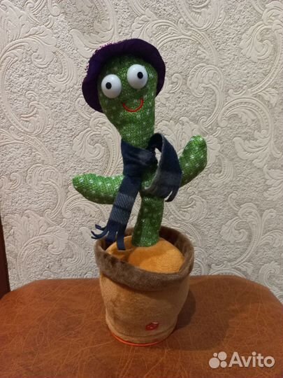 Танцующий кактус новый