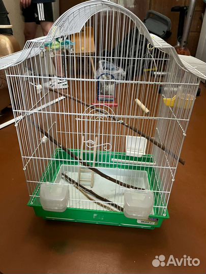 Клетка для попугая