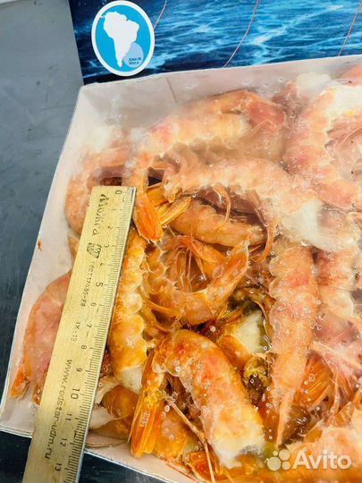 Лангустины С1 Без головы рыба доставка