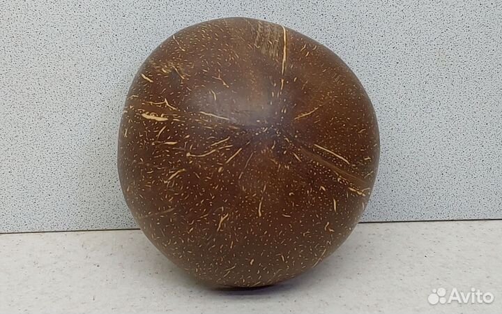 Кокос чаша 12,4 сувенир подарок