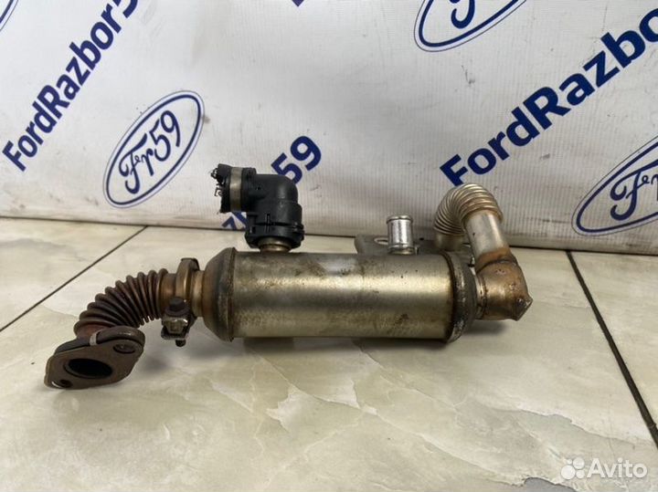 Радиатор системы EGR Ford Focus 2 CB4 1.8 (kkda)