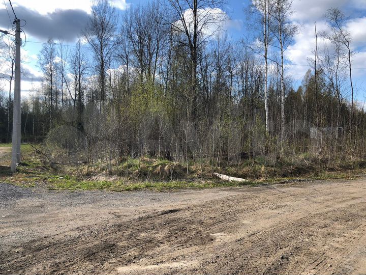 Участок 10 сот. (СНТ, ДНП)