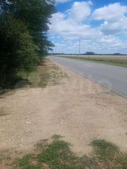 Участок 4,2 га (СНТ, ДНП)