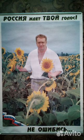 Плакаты с Жириновским