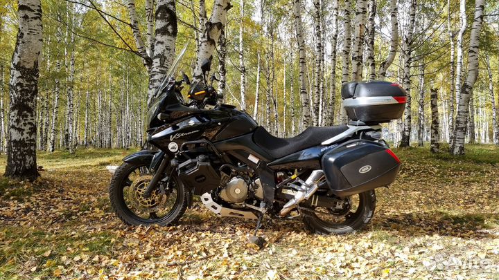 Suzuki v-strom DL 1000, (2006)