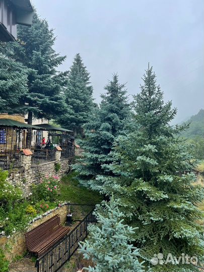 Экскурсия на Медовые Водопады+Чайный домик