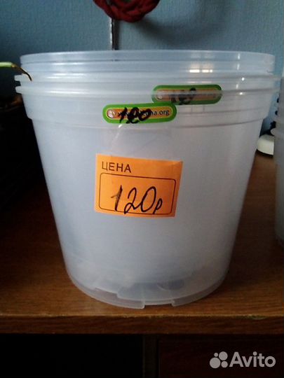 Горшки цветочные для орхидей 80р