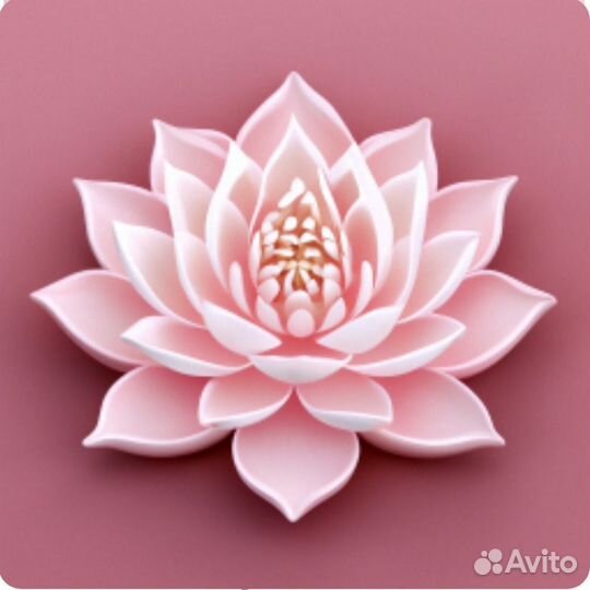 Графический дизайн