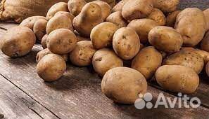 Ведро Картофеля домашний сорт Галла