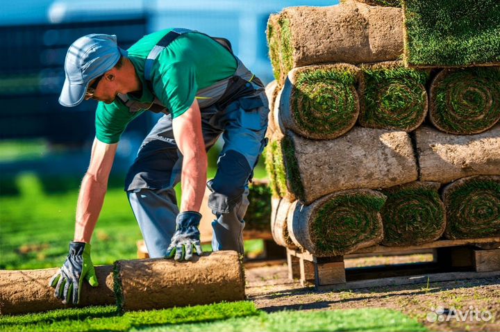 Укладка рулонного газона под ключ