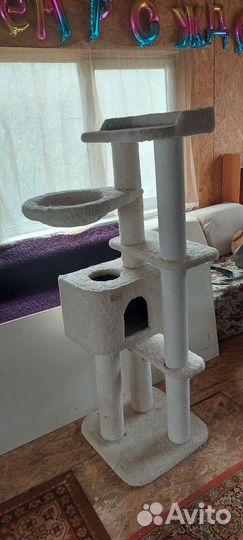 Домик для кошки бронь