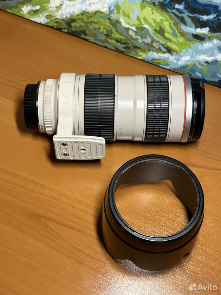 Canon 70 200 2.8 L