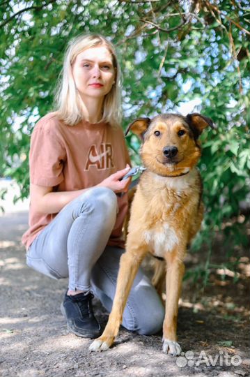 Разве он заслужил всю жизнь просидеть в клетке