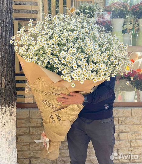 Цветы ромашки