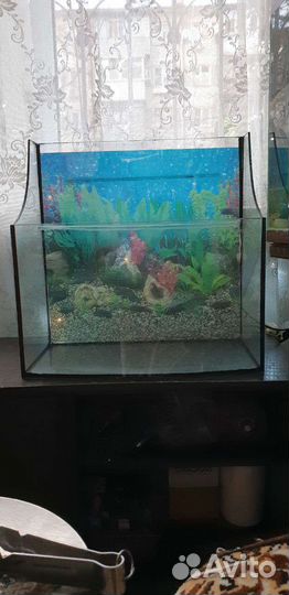 Аквариум