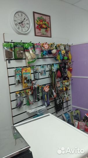 Амуниция для животных